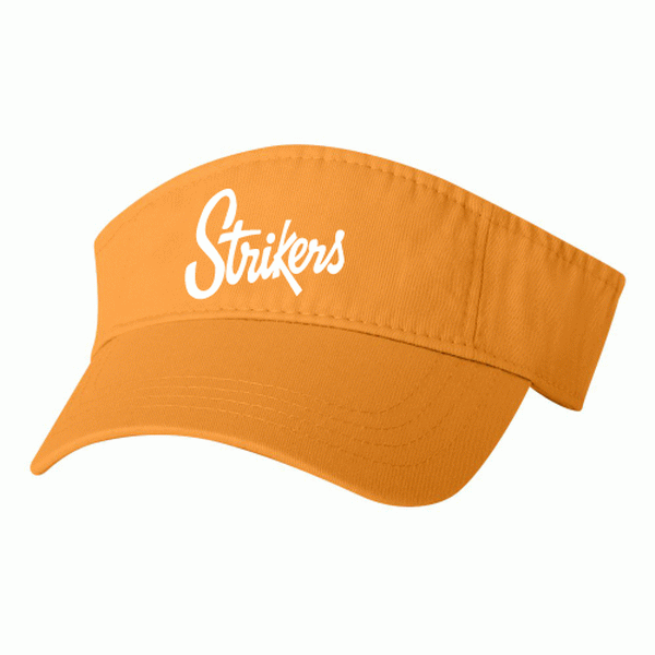 A. Visor VC500